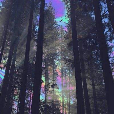 ky体育下载手机版