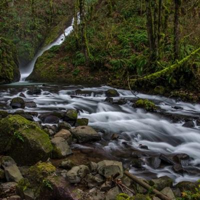 乐鱼竞彩官网下载手机版